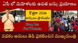 Free Bus For Women